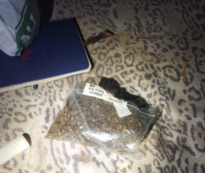 Entorpecente foi encontrado durante o cumprimento de mandados judiciais - Foto: Divulgação/PCMS