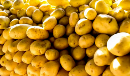 Os maiores percentuais de diferença foram registrados em itens de hortifruti Foto: Governo de MS
