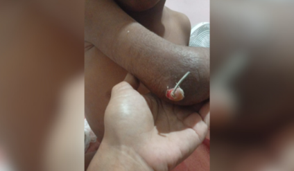 Documentos indicam revisão em até três semanas Foto: Arquivo pessoal