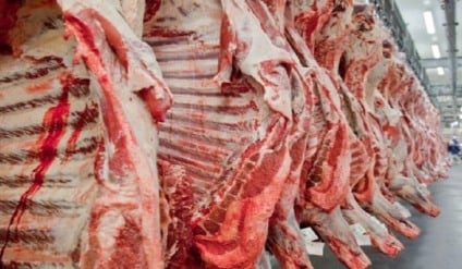 Campo Grande acumulou perda de US$ 36 milhões, cerca de R$ 196 milhões, impactando sobretudo a cadeia da carne bovina - Foto: Reprodução/Governo de MS
