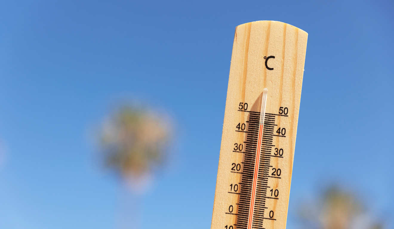 Nos meses mais quentes, o aumento varia de R$ 200 a R$ 250, diz dona de casa Foto: Freepik Nos meses mais quentes, o aumento varia de R$ 200 a R$ 250, diz dona de casa Foto: Freepik