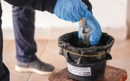 Armadilhas ovitrampas estão em fase final de implantação nos 79 municípios. - Foto: Ministério da Saúde