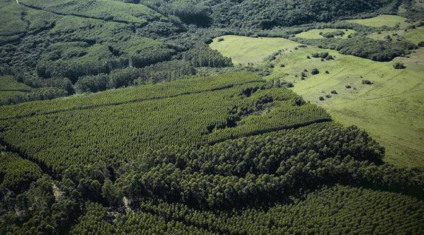 Propriedade rural monitorada por sistemas de fiscalização ambiental, que utilizam satélites e cruzamento de dados para identificar irregularidades - Foto: Divulgação/Governo de MS