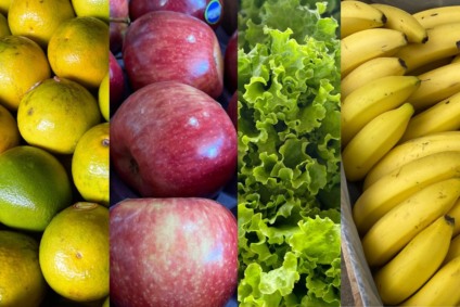 Logística e câmaras frias mantêm padrão das frutas na Ceasa/MS. Foto: CEASA/MS / Reprodução / Divulgação. 