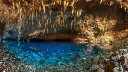 Número de visitantes é considerado o maior dos últimos cinco anos Foto: Prefeitura de Bonito
