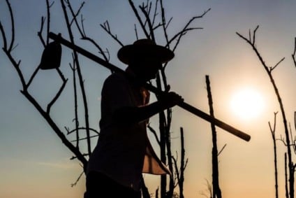 Capacitação do Senar/MS terá 42 turmas ao longo do ano - Foto: Divulgação/Sistema Famasul