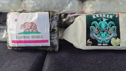 Droga apreendida foi avaliada em aproximadamente R$ 220 mil - Foto: Divulgação/DOF