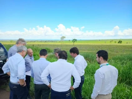 O projeto, que representa um investimento de aproximadamente R$ 16 bilhões, marcará a sexta unidade do setor de celulose no estado. Foto: Divulgação. 