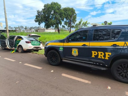 PRF apreendeu mais de uma tonelada de maconha durante fiscalização na BR-262 - Foto: Divulgação/PRF-MS