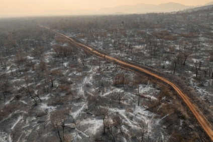 Devastada pelos incêndios florestais de 2020, a Fazenda Santa Tereza, na Serra do Amolar, foi destruída novamente em 2024 - Foto: Lalo de Almeida