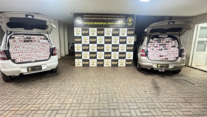 Na ação, ninguém foi preso. O material apreendido foi avaliado em aproximadamente R$ 280 mil. (Divulgação/DOF) 