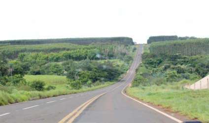 Rodovia MS-240, no trecho entre Paranaíba e Inocência vai a leilão até o fim do ano, garante governador