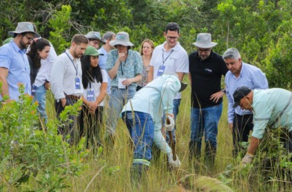 Pesquisadores europeus realizam estudos no Parque do Pombo