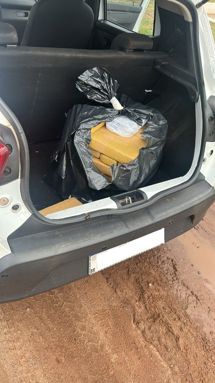 Local onde ocorreu apreensão não foi divulgado. Foto: Divulgação/PF. Local onde ocorreu apreensão não foi divulgado. Foto: Divulgação/PF.