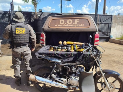 O entorpecente foi avaliado em aproximadamente R$ 975 mil. (Foto: Divulgação/DOF)