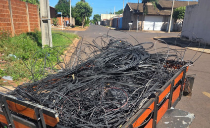 Mais de cinco toneladas de cabos e fios de telefonia são retiradas de postes