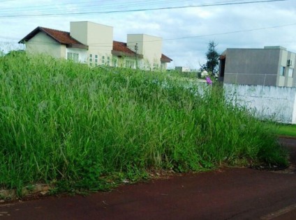 Termina hoje (5), o prazo determinado pela Prefeitura de Dourados para autuar os proprietários de terrenos baldios que não atenderem o chamamento do Edital de Notificação de Roçada e Limpeza nº 001/2026. (Foto: Divulgação)