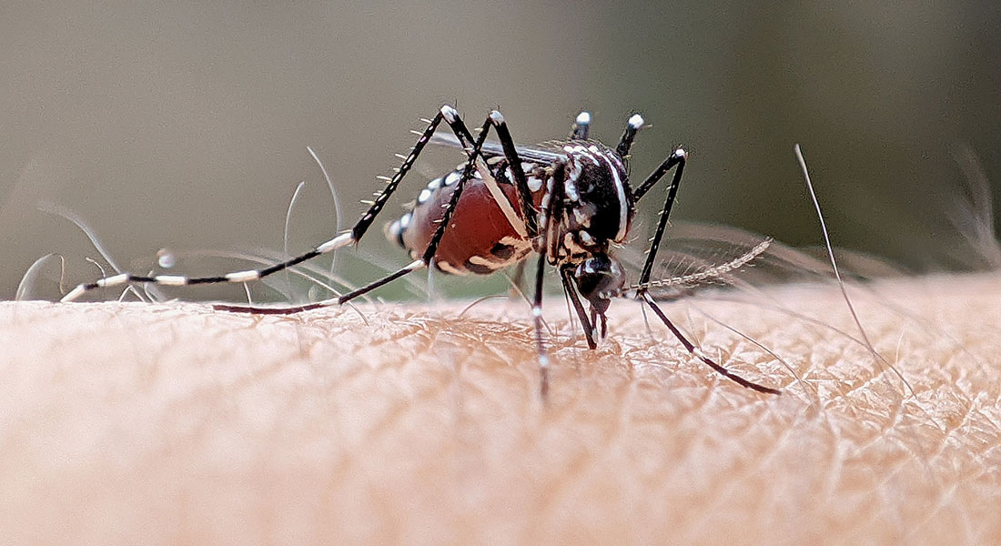 Três Lagoas confirma 83 casos de dengue, 24 de chikungunya e um de Zika em novo boletim