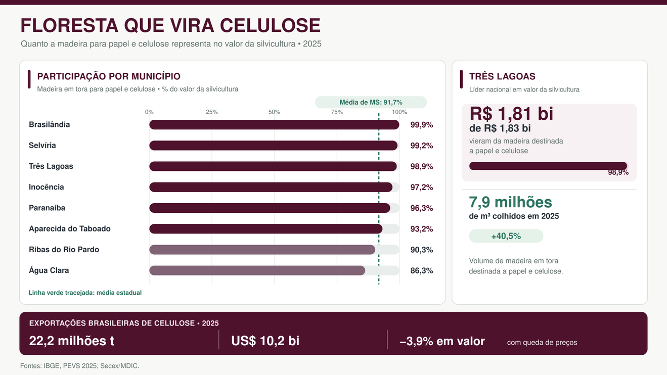 Madeira para celulose representa 98,9% do valor da silvicultura de Três Lagoas (MS)