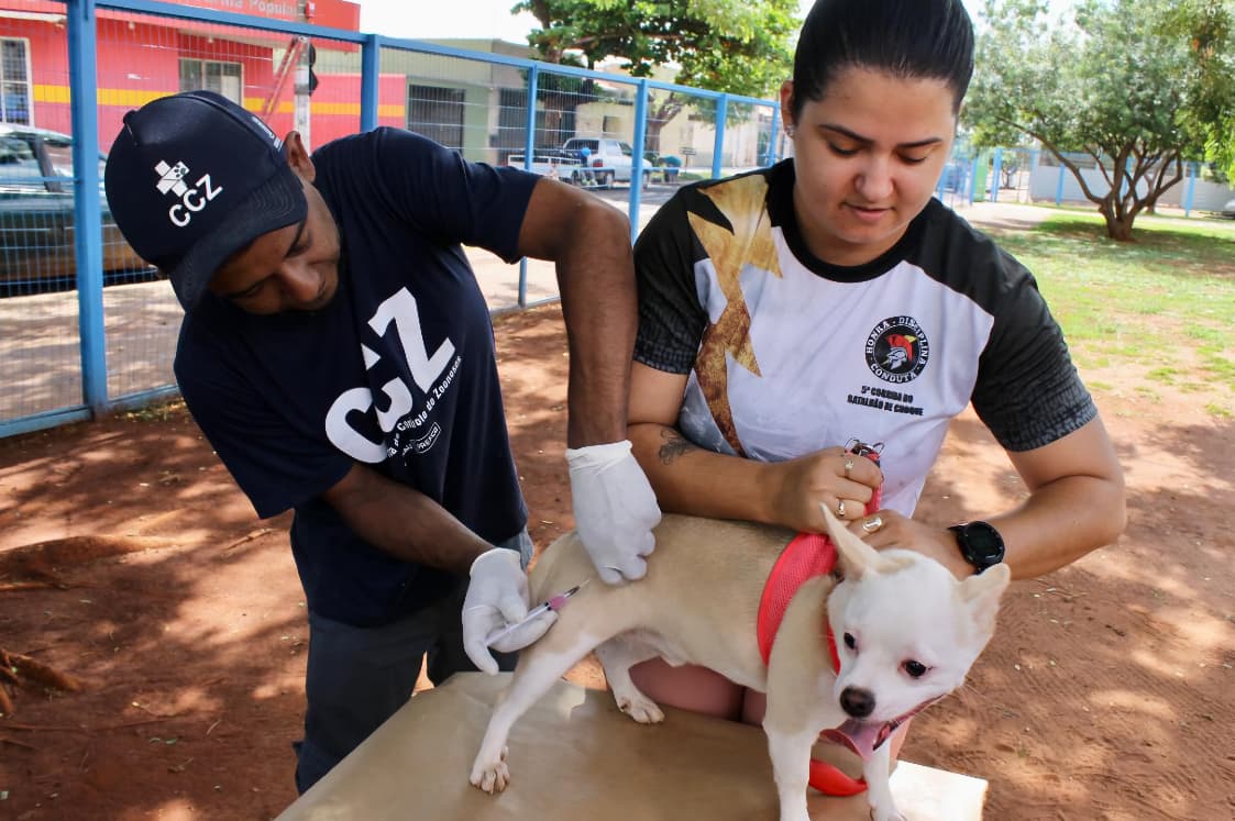 Campo Grande intensifica vacinação antirrábica para cães e gatos neste sábado após confirmação de casos