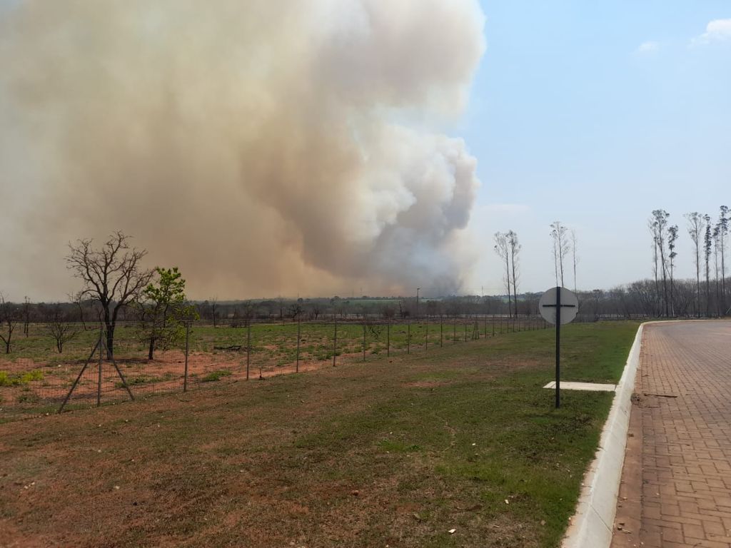 Chamas atingem área de fazenda e podem ser avistadas ao longe em Campo Grande.