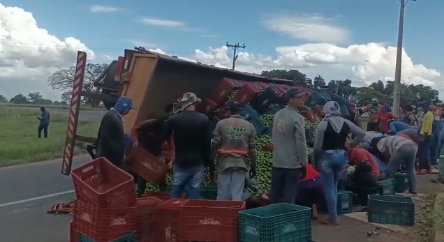 Funcionários foram enviados para recolher frutos espalhados na pista