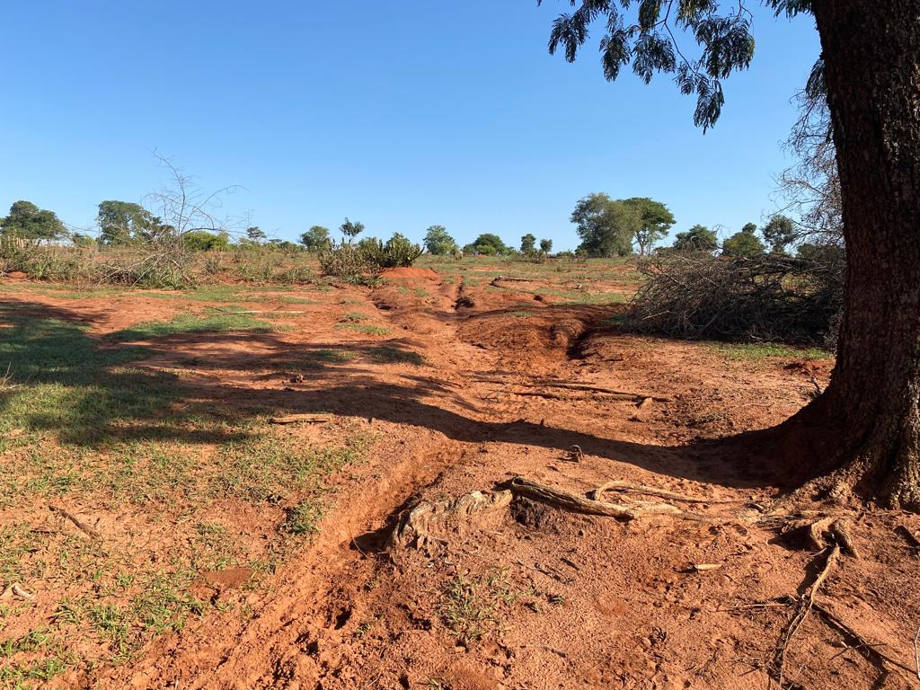 Processo erosivo em propriedade rural